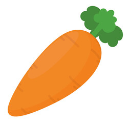 illustration of a carrot