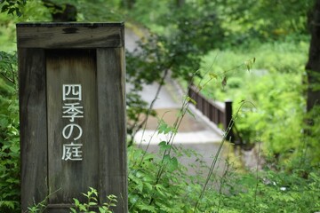 たじま高原植物園、兵庫県、兵庫県観光百選、国定公園、草花、湿地