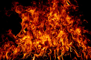 Fototapeta na wymiar Texture of fire on a black background. Abstract fire flame background, large burning fire.