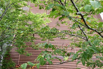 木の殿堂、安藤忠雄、木造建築、建築物、博物館、兵庫県