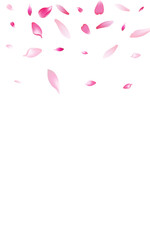 Transparent Lotus Petal Vector White Background.