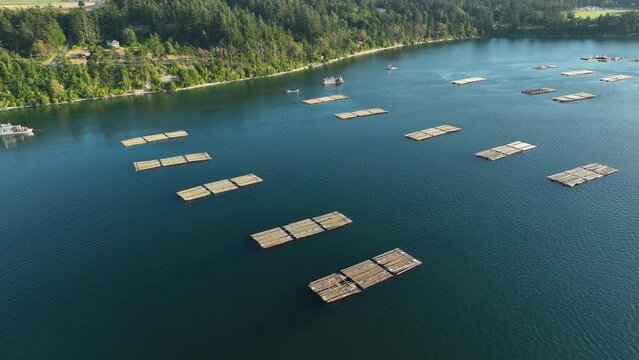 Wide establishing aerial view of the Penn Cove Mussel docks off the Whidbey Island shores.