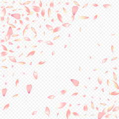 Bright Petal Vector Transparent Background. Heart