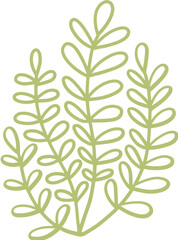 seaweed line art drawing