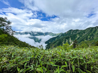Fototapeta premium 鹿島槍ヶ岳 登山道