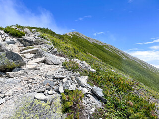鹿島槍ヶ岳　登山道
