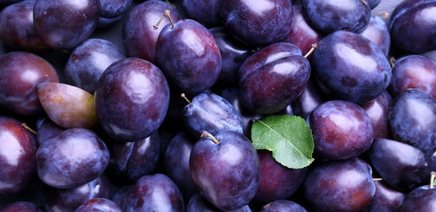 Fresh ripe plums as background, closeup