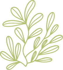 seaweed line art drawing