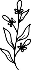 Hand Drawn Flower Sketch Line Art
