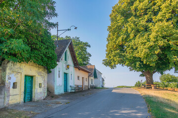 Galgenberg. Famous cellar alley in Wildendürnbach, Weinviertel. Beautiful vineyards with...