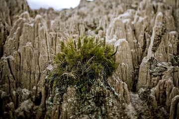 Stones and rocks in National Park in La Paz, Bolivia