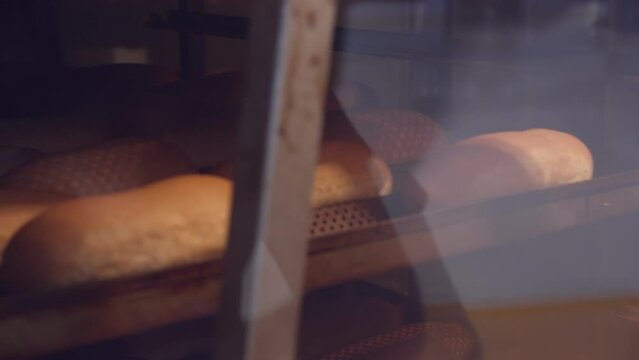 Wheat bread loaves are rotated in the baking tray