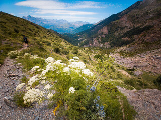 Photograph of the ascent to Pico Escuelas in the town of Panticosa, in the Pyrenees of Aragon, a high mountain landscape perfect for trekking.