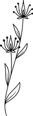 Flowers Sketch Line Art Illustration
