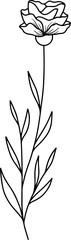 Flowers Sketch Line Art Illustration
