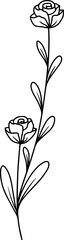 Flowers Sketch Line Art Illustration
