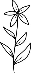 Floral Element Line Art Illustration
