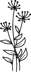 Floral Element Line Art Illustration
