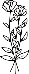 Floral Element Line Art Illustration
