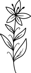 Floral Element Line Art Illustration
