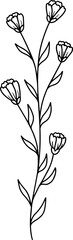 Floral Element Line Art Illustration

