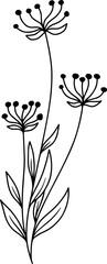 Floral Element Line Art Illustration
