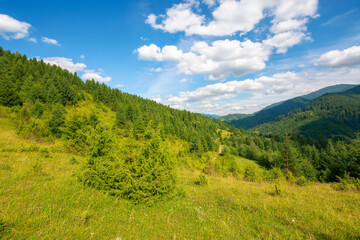 Fototapeta na wymiar mountainous rural landscape in summertime. wonderful countryside scenery of carpathians. forested hills and grassy meadows. blue sky with fluffy clouds on a sunny day