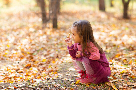 Cute little girl hld peanut in autumn park with orange color leaves and yellow pumpkin