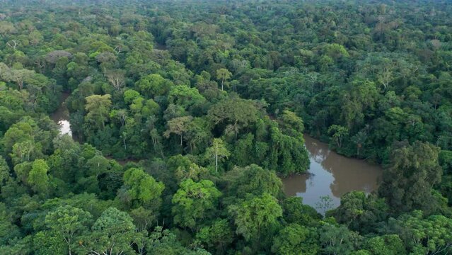 4k Aerial shot for amazon river and the rain forest in brazil rainforest.
shot on MAVIC 2 PRO hasselblad rendered prores 422HQ REC709