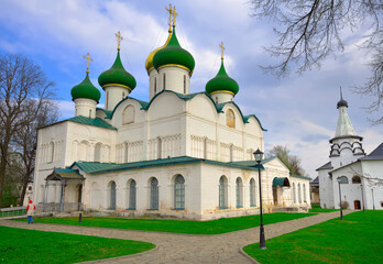 Fototapeta na wymiar The male Spaso-Evfimiev Monastery