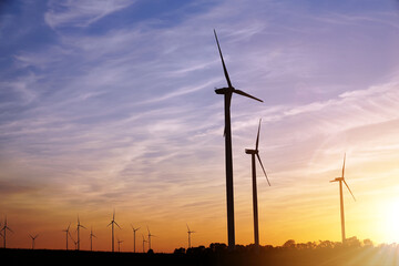 Beautiful sunset above the windmills on the field. renewable energy sources concept