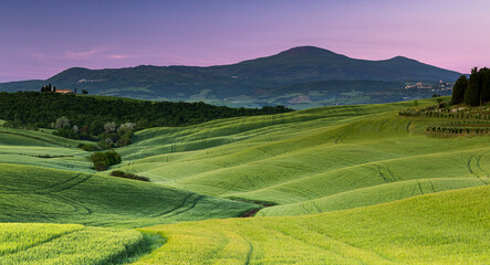 Fototapeta na wymiar Val d´Orcia, Toscana in Italien italy