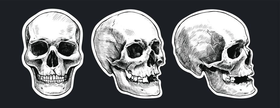 Set of stickers with hand drawn human skulls. Vector graphic illustration.