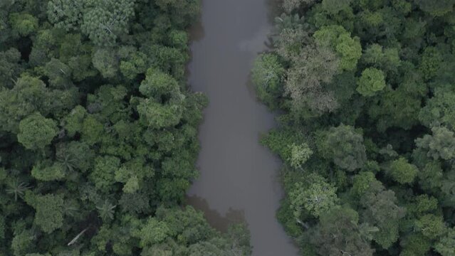 4k Aerial shot for amazon river and the rain forest in brazil rainforest.
shot on MAVIC 2 PRO hasselblad rendered prores 422HQ D-log