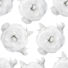 White monochrome Seamless pattern with roses. floral background