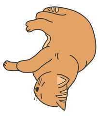hand drawn illustration of a cat