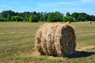 haystack in sunny day on the agricultural field with forest line on background, close-up
