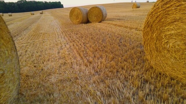 Close up hay round bales or rolls on hilly field in summer at sunset. Concept of work in agronomic farm and production organic animal feed