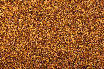 White mustard seeds, close-up. Top view, copy space. Mustard seeds are an excellent siderate for enriching soil with organic matter. They have fungicidal and bactericidal properties