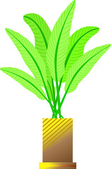 Houseplant flower leaf botany decoration graphic design background pattern illustration