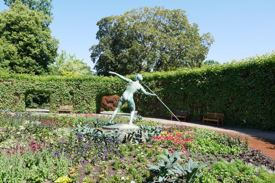 Blumen und Stauden im Grugapark in Essen