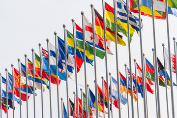 Fototapeta premium flags under sky