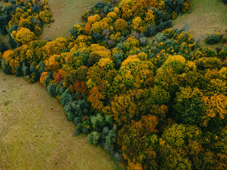 aerial view of autumn carpathian mountains