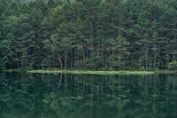 Obraz premium 緑響く御射鹿池