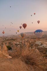 Landscape of hot air balloons