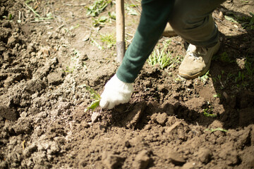 Guy digs soil with shovel. Digging up ground for planting. Work in garden. Life in countryside.