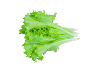 Green lettuce leaves, salad isolated on transparent background - PNG format.