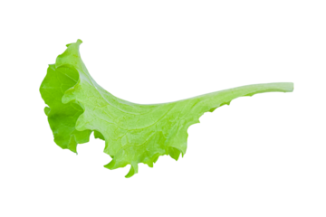 Green lettuce leaves, salad isolated on transparent background - PNG format.