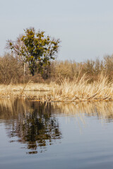 Dnipro river by the spring time