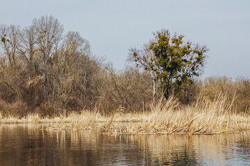 Dnipro river by the spring time